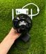 Вулична WiFI IP Камера відеоспостереження 6MP ICSEE N18 поворотна N18 фото 6